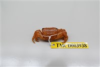 藏品(方形大額蟹)的圖片